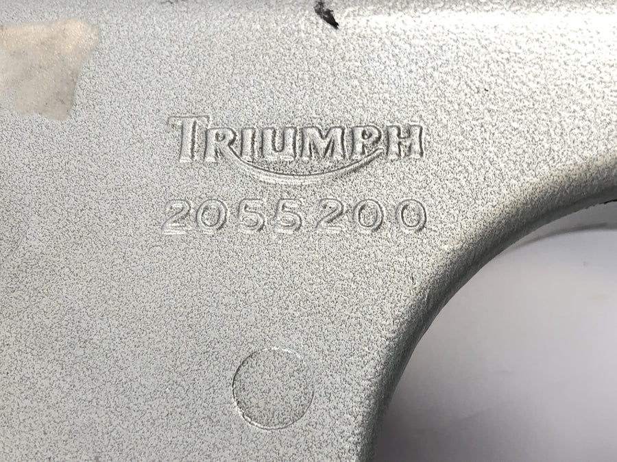 TRIUMPH DAYTONA 955I T595 [1998] - Braço oscilante traseiro
