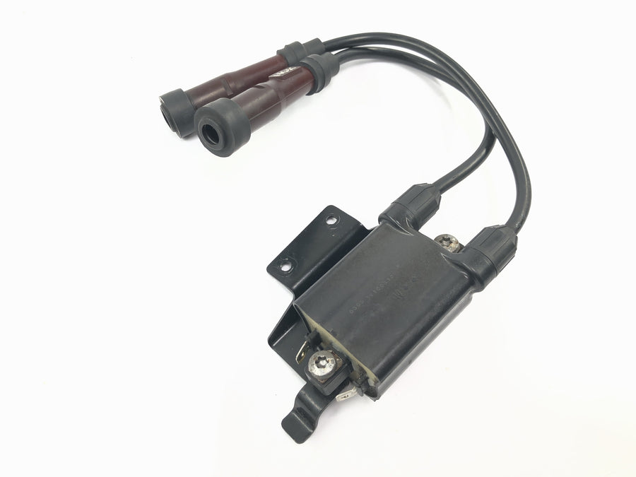 Triumph Bonneville T100 986MF [2012] - Unidade de ignição do módulo de ignição da bobina de ignição com cabo e conector de vela de ignição