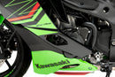KAWASAKI ZX-4RR NINJA [2025] – Pista de proteção do motor para campeonato-1