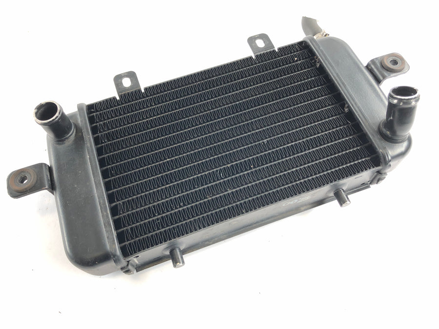 BMW C1 125 [2001] - Cooler de água