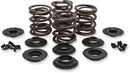 Harley Davidson Flfb [KIBBLEWHITE] - Kit de mola de válvula de reposição OEM