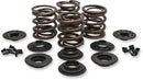 Harley Davidson Flfb [KIBBLEWHITE] - Kit de mola de válvula de reposição OEM