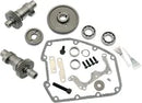Harley-Davidson FLRT 1690 Freewheeler [2015-2016] - Nockenwellen-Kit mit Zahnradantrieb – Nockenwellenprofil: 510 Series – Bild 8