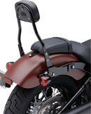 Harley-Davidson Street Bob [COBRA] – Kit de encosto removível-3