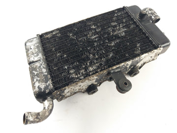 Honda XRV 650 Africano Twin Rd03 [1989] - Cooler de água fria - 0