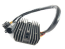 BMW F 800 St [2006] - Controlador-3