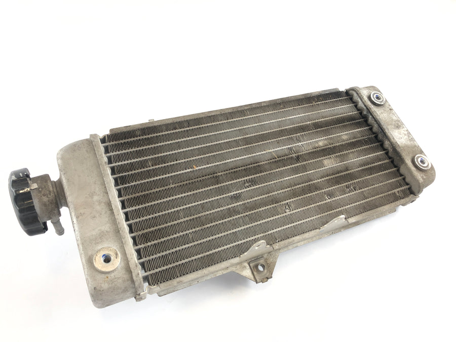 Yamaha WR 125 R DE07 [2016] - Cooler de água fria