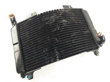 Aprilia Rs 250 [1998] - Cooler de água fria com defeito - 0