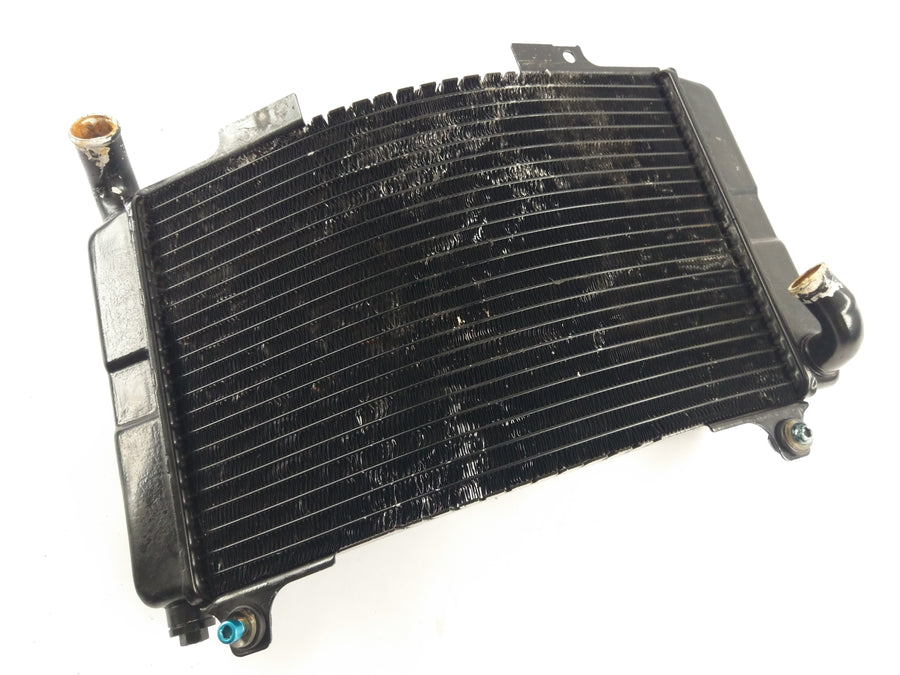 Aprilia Rs 250 [1998] - Cooler de água fria com defeito