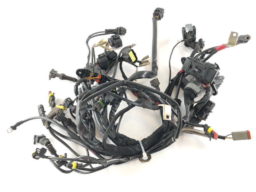 Ducati Multistrada 1000 DS [2003] - Firação de cabos principais Tree Cable Tree