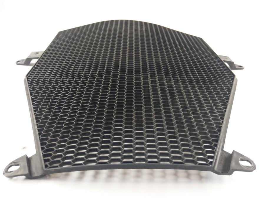 BMW K 1200 R [2010] - Cobertura do refrigerador