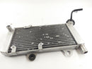 Yamaha XT 660 x DM01 [2006] - Cooler de água fria-1