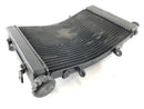 Triumph Street Triple R 675 D67LD [2008] - Cooler de água fria-3