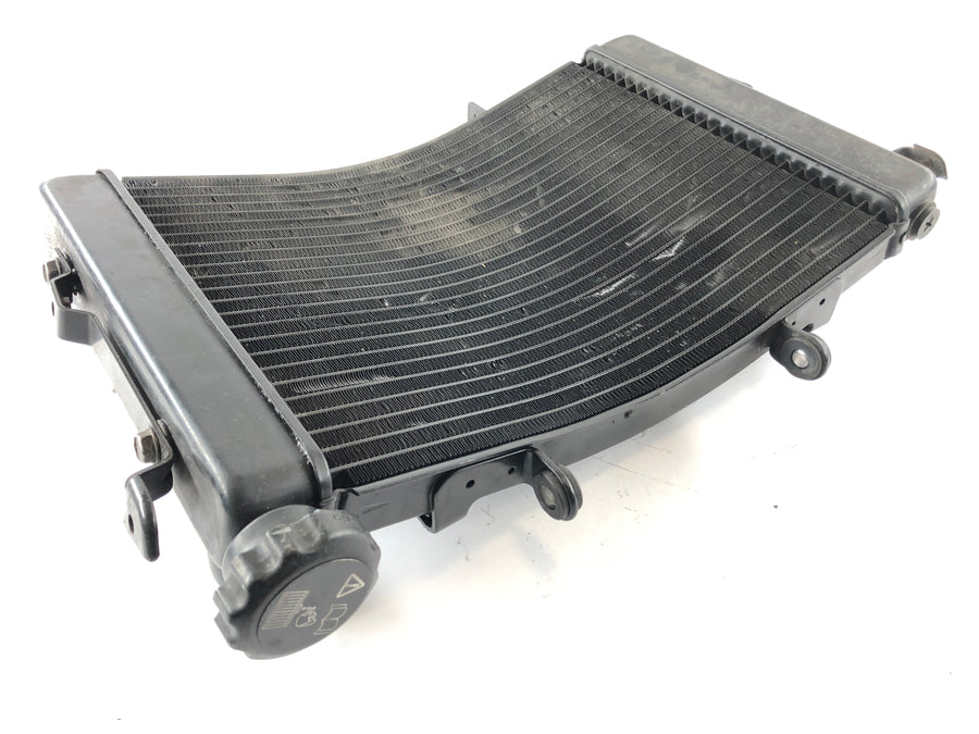 Triumph Street Triple R 675 D67LD [2008] - Cooler de água fria