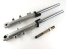 Triumph Sprint 955i RS T695 [2001] - Fork Telegabel com eixo-1