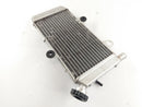 Yamaha XT 660 x DM01 [2006] - Cooler de água fria-4