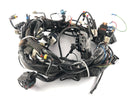 Moto Guzzi Norge 1200 LP [2006] - Fiação do arnês-1