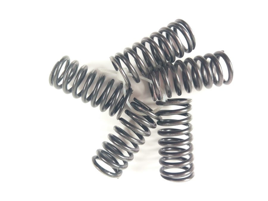 Triumph Thunderbird 900 T309 RT - Springs Cup Feathers