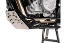 BMW G 650 GS [2012-2015] - proteção do motor – foto 1