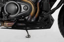 Harley-Davidson Pan America Special RA 1250 S [2021-2025] - proteção do motor - foto 4
