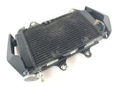 KTM Duke 125 [2011] - Cooler de água fria-1