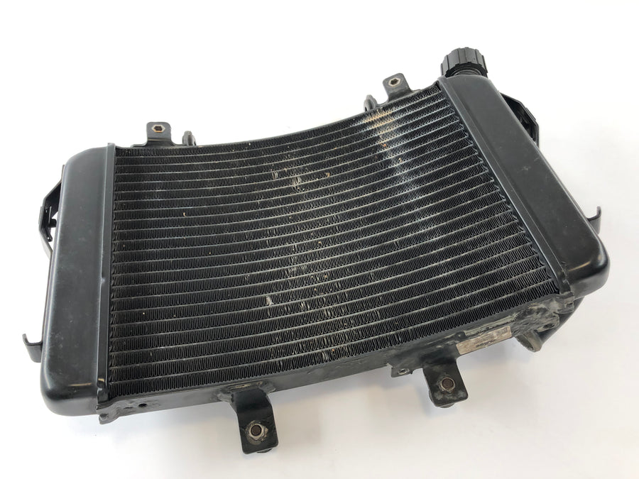 KTM Duke 690 A3 [2012] - Cooler de água fria