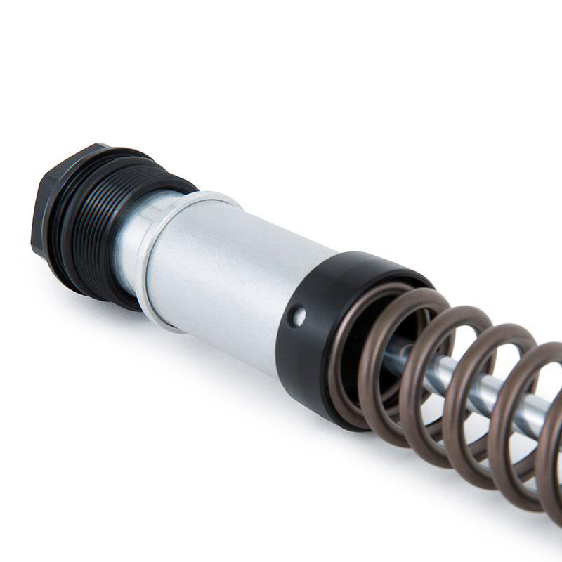 BMW R nineT 1200 Urban G/S (niedriger Auspuff) [2017-2023] - Ohlins Gabelkartuschen Nix 22 BMW R NineT (2016-2023)