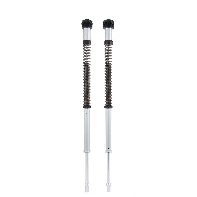 BMW R nineT 1200 Urban G/S (niedriger Auspuff) [2017-2023] - Ohlins Gabelkartuschen Nix 22 BMW R NineT (2016-2023)