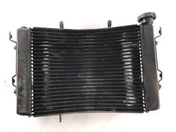 Triumph Street Triple R 675 D67LD [2008] - Cooler de água fria - 0