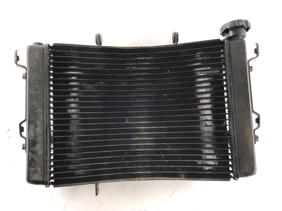 Triumph Street Triple R 675 D67LD [2008] - Cooler de água fria