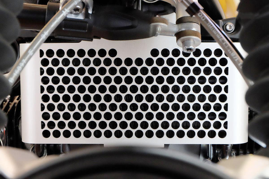 BMW R nineT 1200 Urban G/S (niedriger Auspuff) [2017-2023] - Kühlerschutz