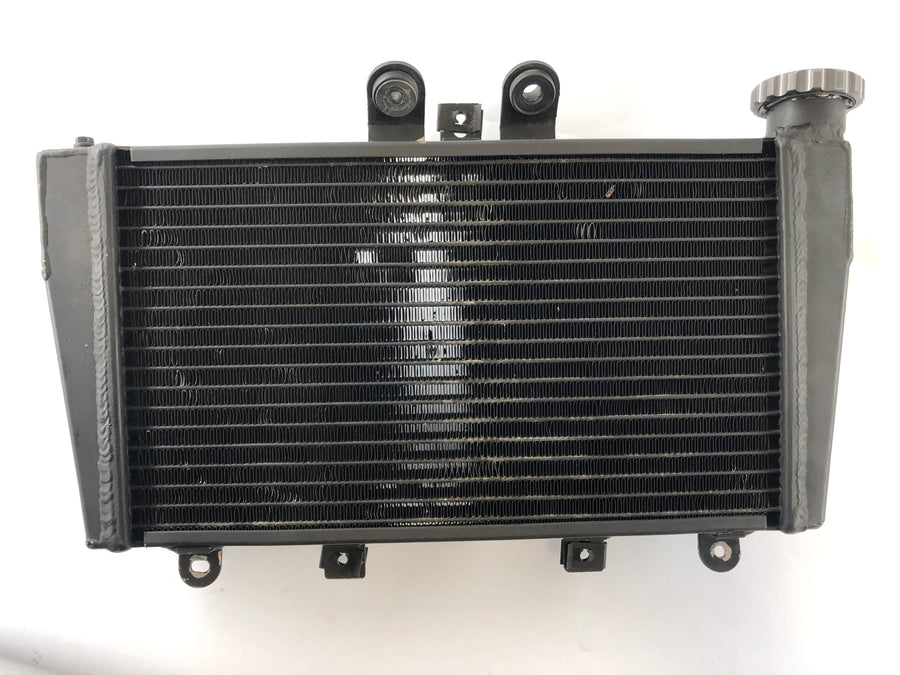 Triumph Speed ​​Triple 1050 515nj [2006] - Cooler de água fria