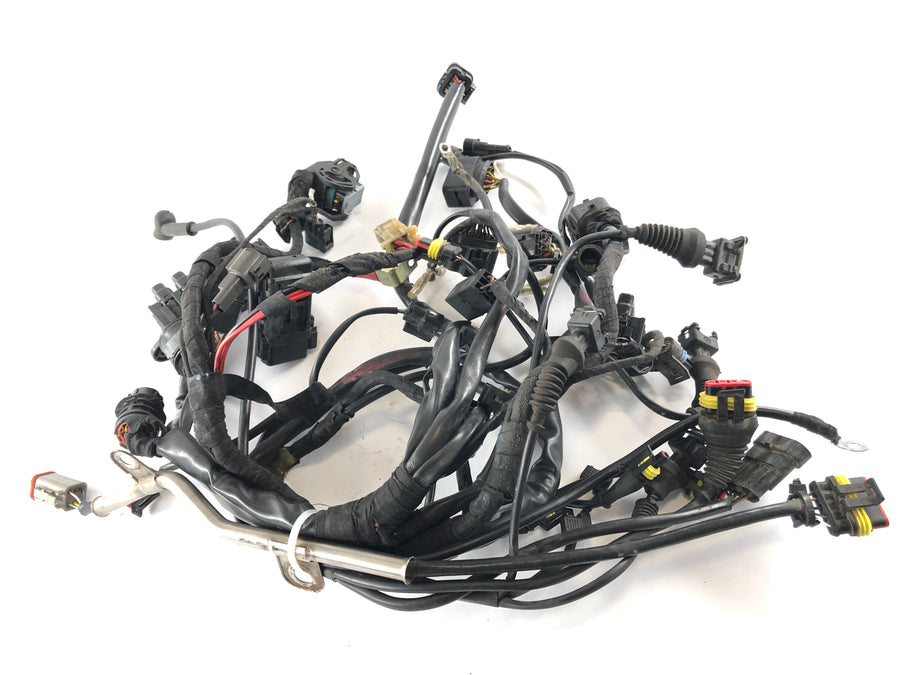Ducati Multistrada 1000 DS [2003] - Firação de cabos principais Tree Cable Tree