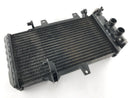 BMW F 800 S [2007] - Cooler de água fria-2
