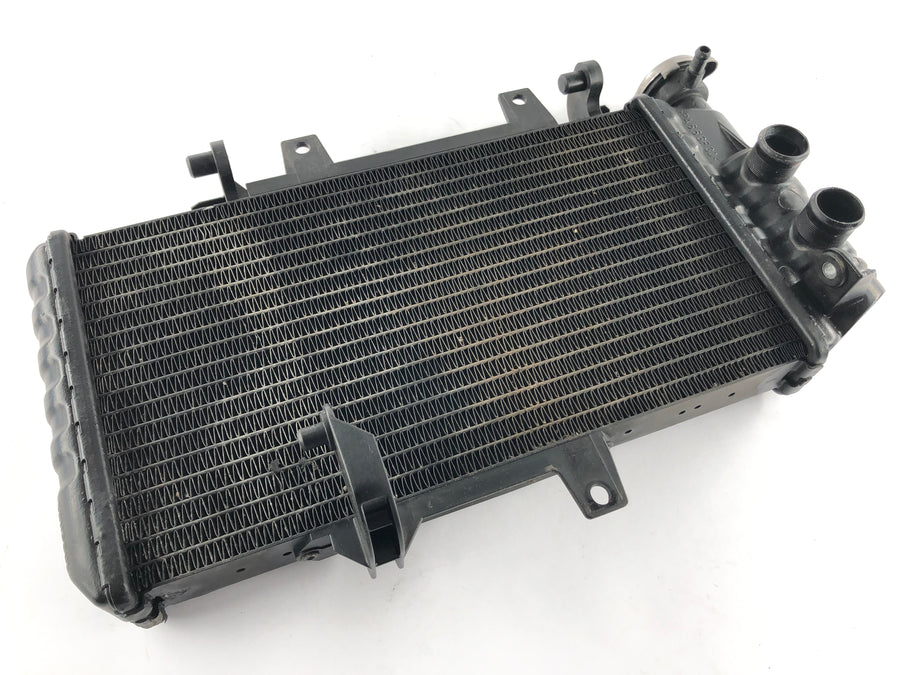 BMW F 800 S [2007] - Cooler de água fria