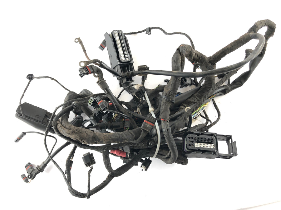BMW F 800 St [2006] - Firação