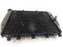 Kawasaki ZX -12R ZXT20A [2004] - Cooler de resfriador de água-2