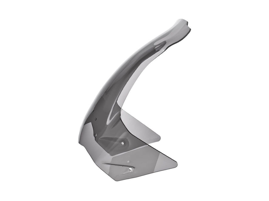 BMW F 650 GS [2008-2012] - Caponord Windschild – Ansicht 5