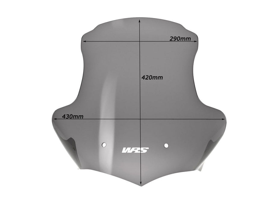 BMW K 1200 R [2005-2008] - Touring Windschild – Ansicht 7