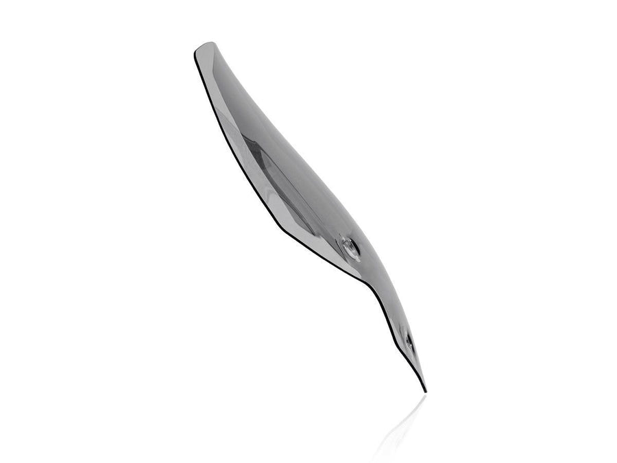 Triumph Tiger 900 Rally [2020-2026] - Touring Windschild – Ansicht 9