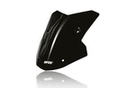BMW M 1000 XR [2024-2026] - Sport Windschild – Ansicht 8