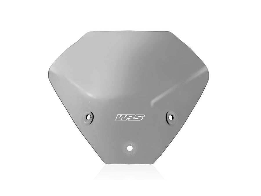 BMW M 1000 R [2023-2024] - Touring Windschild – Ansicht 11