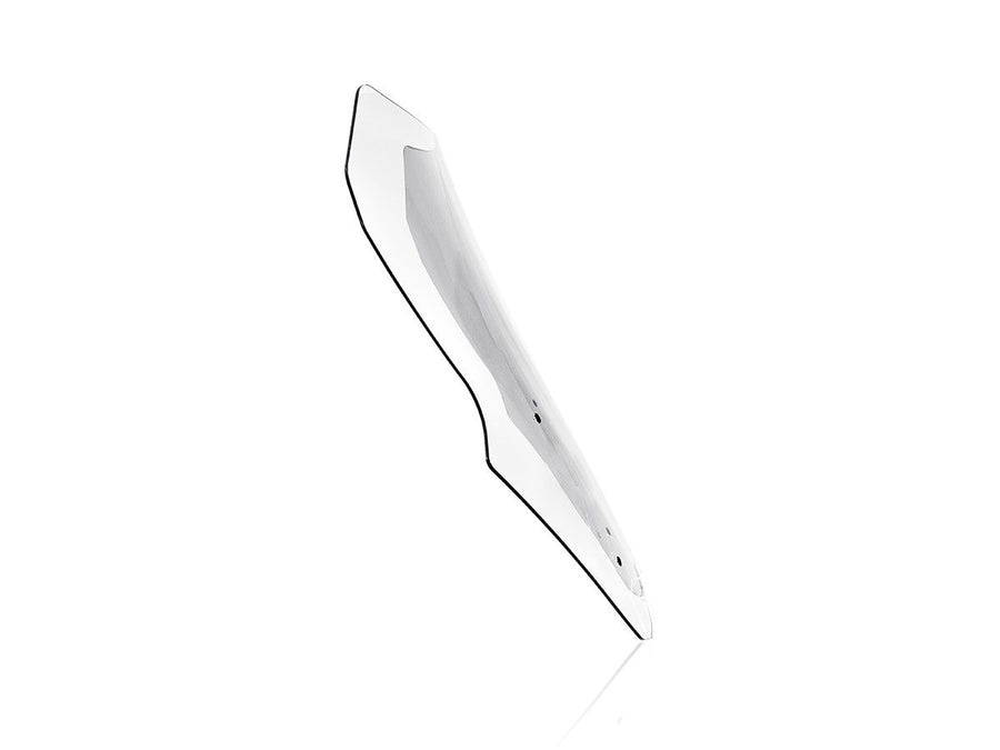 BMW R 1250 RS [2019-2024] - Touring Windschild +120 mm – Ansicht 10