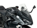 Kawasaki Ninja 1000 SX [2021-2024] - Sport Windschild – Ansicht 2