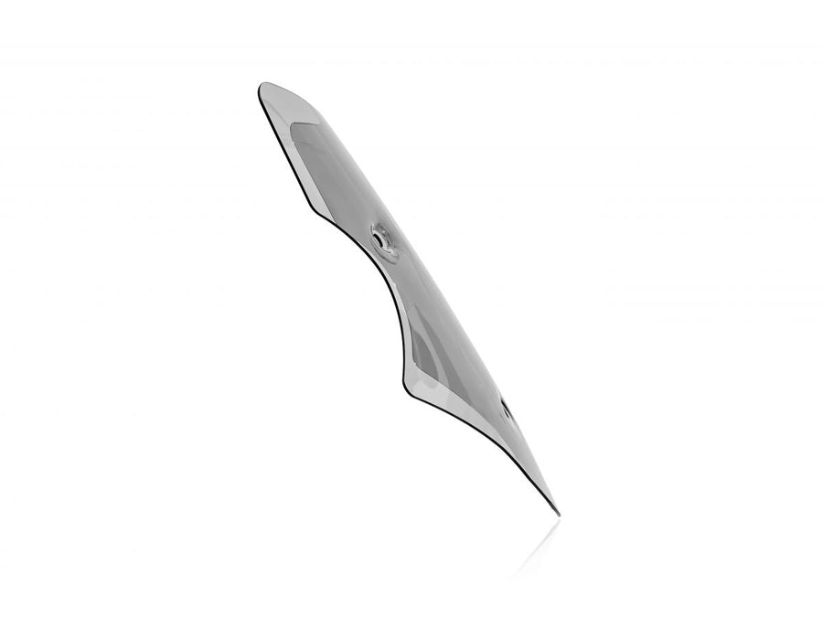 Ducati Multistrada V4 Rally [2023-2026] - Standard Windschild Plus – Ansicht 11