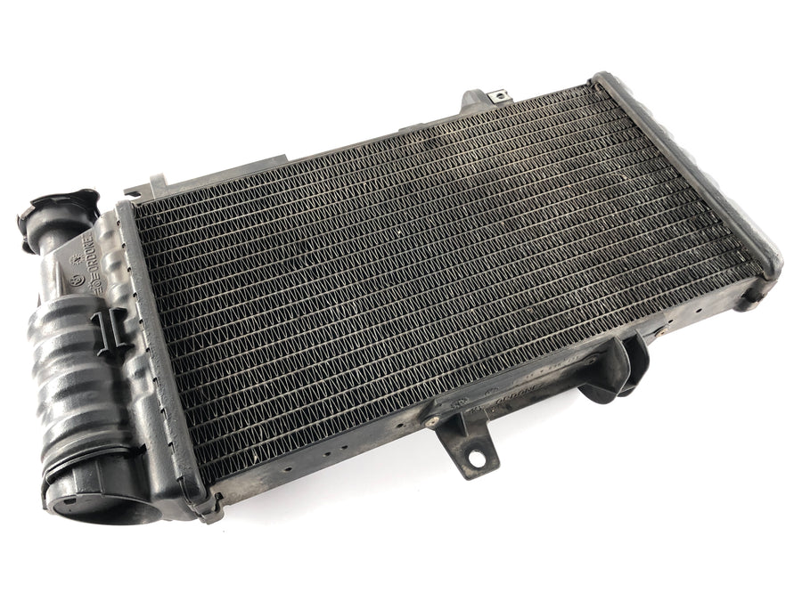 BMW F 800 St [2006] - Cooler de resfriador de água