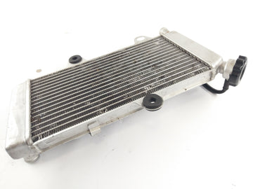 Yamaha XT 660 x DM01 [2006] - Cooler de água fria - 0