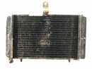 Aprilia Rs 125 MPB [2000] - Cooler de água fria-4