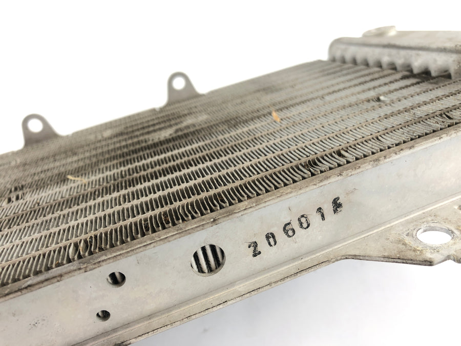 Yamaha WR 125 R DE07 [2016] - Cooler de água fria